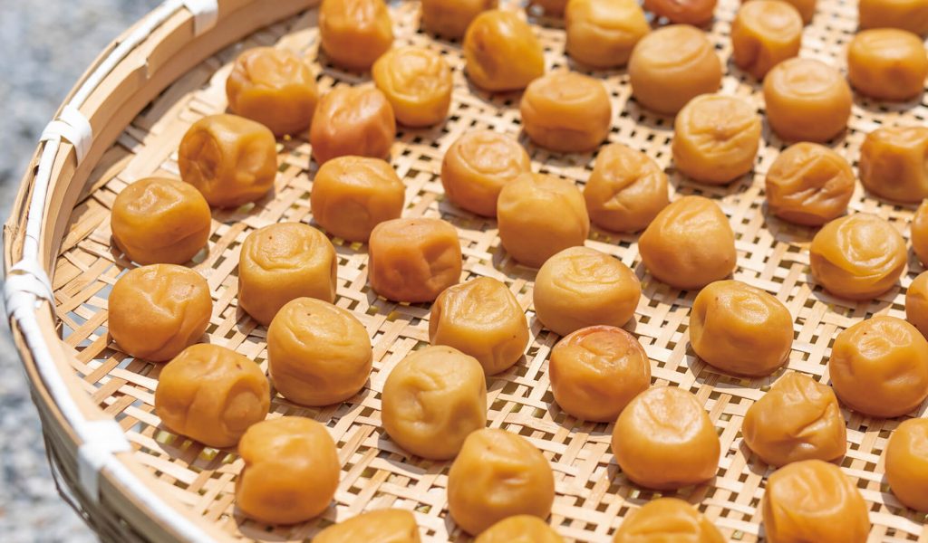【専門店監修】梅干しの作り方・漬け方について。
昔ながらの方法も解説します。